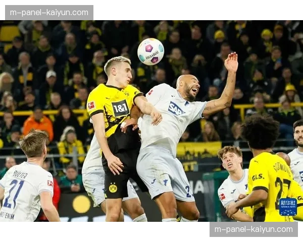 霍芬海姆vs多特蒙德：防守反击对阵控球渗透